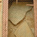 Leptis Magna (Lubda) - fragmenty mozaiki