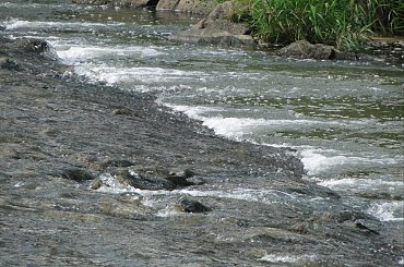 Wisła w Ustroniu Górskim #wisła #rzeka #woda #płynie #ustroń