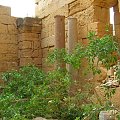 Leptis Magna (Lubda)