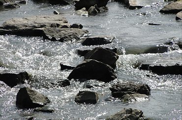 Wisła w Ustroniu Górskim #wisła #rzeka #woda #płynie #ustroń