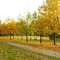 Jesienny park - Poznań Rataje. #jesień