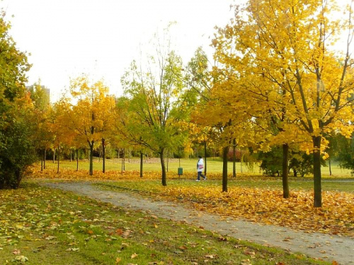 Jesienny park - Poznań Rataje. #jesień