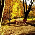 Poznań park na Sołaczu. #jesień