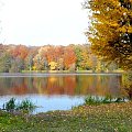 Poznań jezioro Rusałka. #jesień #jeziora