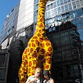 Berlin, 23-30.08.2009