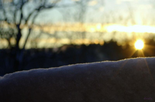 Zimowe wschody słońca. (2010) #wschód #słońce #niebo
