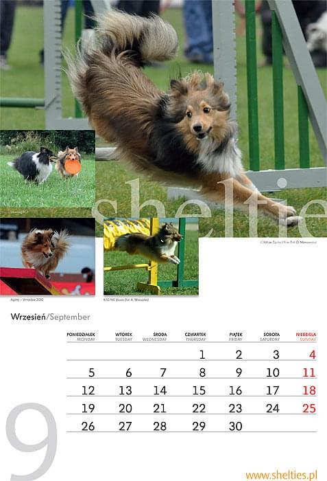 kalendarz 2011