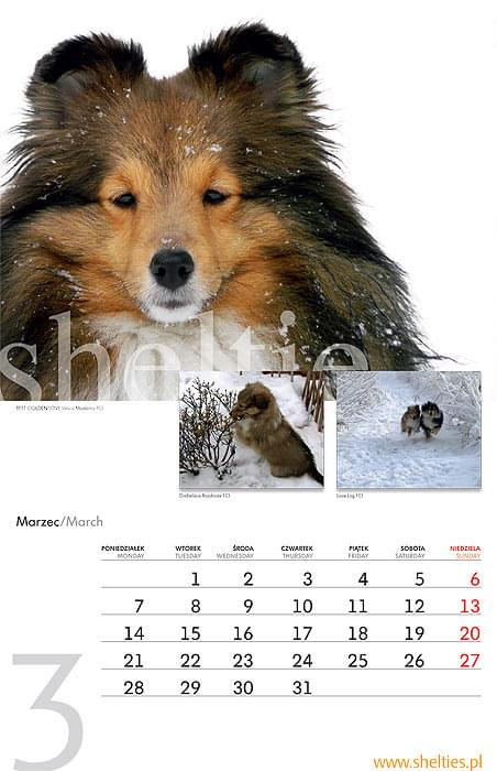 kalendarz 2011