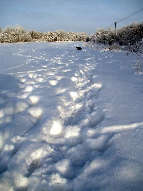 zimowy spacer .....zimno, ale pięknie .... :))))