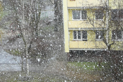 24.03.09 Marcowa śnieżyca widziana z okna domu w Poznaniu. #śnieg