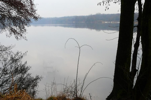 13.03.09 Droga powrotna rowerem z Cerekwicy, jezioro Rusałka. #jezioro