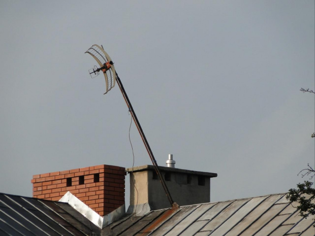 w Skale na Plebanii słabo TV odbiera...