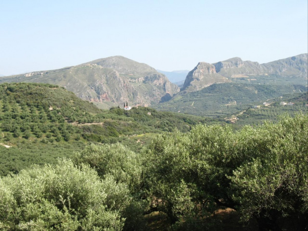 miejscowość Koleni przepiękne gaiki oliwne #Kreta #GaikiOliwne #wyspa #Koleni
