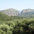 miejscowość Koleni przepiękne gaiki oliwne #Kreta #GaikiOliwne #wyspa #Koleni