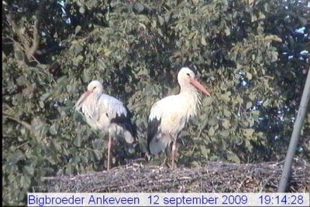 Ankeveen/nl