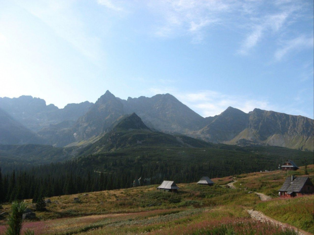 Hala Gąsienicowa