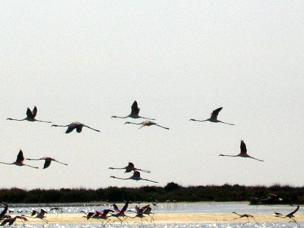 Laguna Korba (Tunezja)