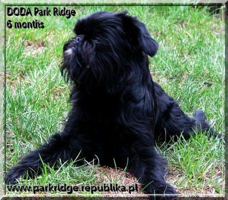 Doda Park Ridge