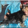 FIRST LADY ZBRZEZNEGO Park Ridge-york #FIRSTLADYZBRZEZNEGOParkRidge #york