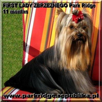 FIRST LADY ZBRZEZNEGO Park Ridge-york #FIRSTLADYZBRZEZNEGOParkRidge #york