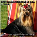 FIRST LADY ZBRZEZNEGO Park Ridge-york #FIRSTLADYZBRZEZNEGOParkRidge #york