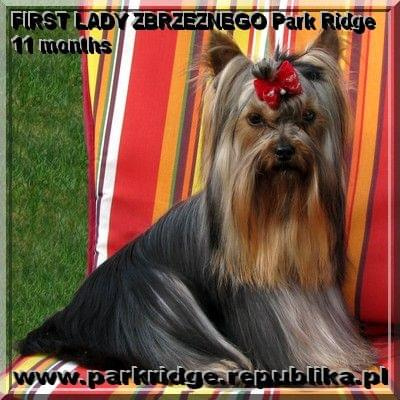 FIRST LADY ZBRZEZNEGO Park Ridge-york #FIRSTLADYZBRZEZNEGOParkRidge #york