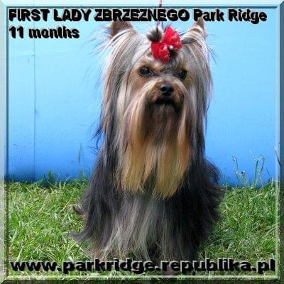 FIRST LADY ZBRZEZNEGO Park Ridge-york #FIRSTLADYZBRZEZNEGOParkRidge #york