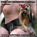 FIRST LADY ZBRZEZNEGO Park Ridge-york #FIRSTLADYZBRZEZNEGOParkRidge #york