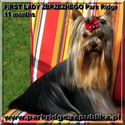 FIRST LADY ZBRZEZNEGO Park Ridge-york #FIRSTLADYZBRZEZNEGOParkRidge #york