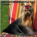 FIRST LADY ZBRZEZNEGO Park Ridge-york #FIRSTLADYZBRZEZNEGOParkRidge #york