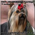 FIRST LADY ZBRZEZNEGO Park Ridge-york #FIRSTLADYZBRZEZNEGOParkRidge #york