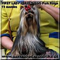 FIRST LADY ZBRZEZNEGO Park Ridge-york #FIRSTLADYZBRZEZNEGOParkRidge #york