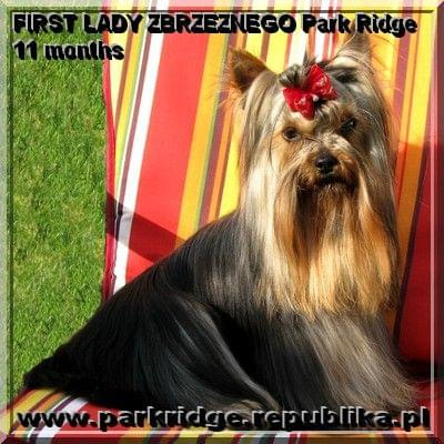 FIRST LADY ZBRZEZNEGO Park Ridge-york #FIRSTLADYZBRZEZNEGOParkRidge #york