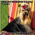 FIRST LADY ZBRZEZNEGO Park Ridge-york #FIRSTLADYZBRZEZNEGOParkRidge #york