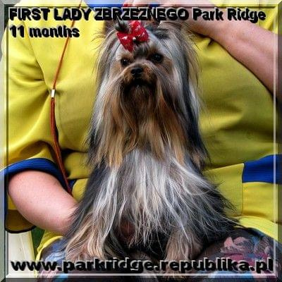 FIRST LADY ZBRZEZNEGO Park Ridge-york #FIRSTLADYZBRZEZNEGOParkRidge #york