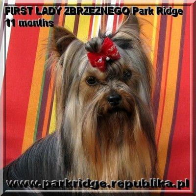 FIRST LADY ZBRZEZNEGO Park Ridge-york #FIRSTLADYZBRZEZNEGOParkRidge #york
