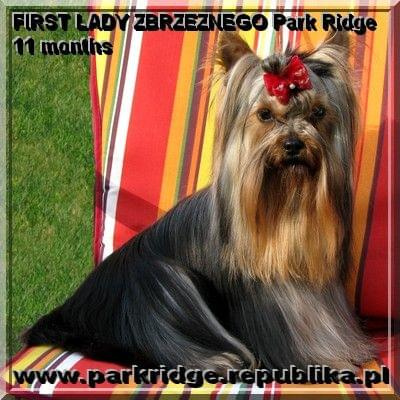 FIRST LADY ZBRZEZNEGO Park Ridge-york #FIRSTLADYZBRZEZNEGOParkRidge #york