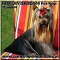 FIRST LADY ZBRZEZNEGO Park Ridge-york #FIRSTLADYZBRZEZNEGOParkRidge #york