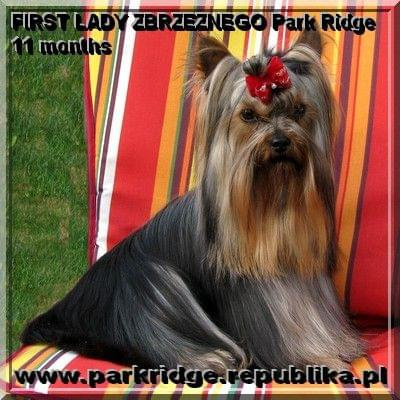 FIRST LADY ZBRZEZNEGO Park Ridge-york #FIRSTLADYZBRZEZNEGOParkRidge #york