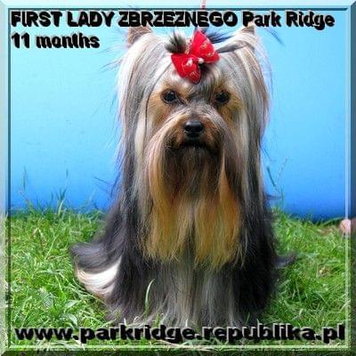 FIRST LADY ZBRZEZNEGO Park Ridge-york #FIRSTLADYZBRZEZNEGOParkRidge #york