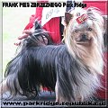 FRANK PIES ZBRZEZNEGO Park Ridge-york #FRANKPIESZBRZEZNEGOParkRidge #york