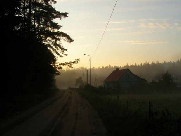 W cieniu puszczy - Cieliczanka