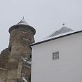 Stara Lubownia zamek