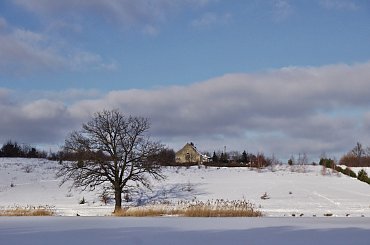 #zima #śnieg #zalew #niebo #styczeń #drzewa