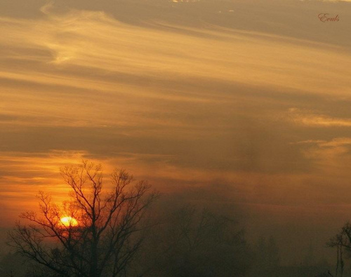 Dzisiejszy, mglisty zachód słońca, widziany z okna mojego domu. #ZachódSłońca #słońce #zima #mgła