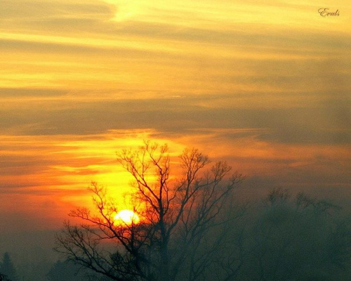Dzisiejszy, mglisty zachód słońca, widziany z okna mojego domu. #ZachódSłońca #słońce #zima #mgła