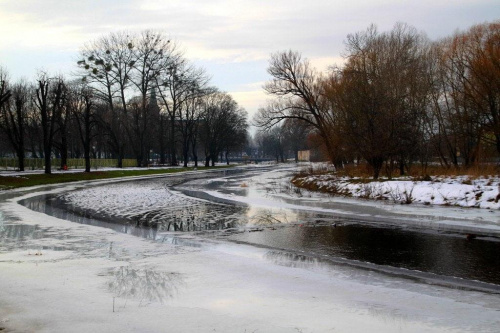 Zima nieco odpuściła i rzeka Obra zaczyna płynąć wartkim nurtem.