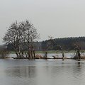 Roztopy na rzece Obra między Talarami a Mszczyczynem