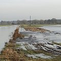 Woda z rzeki przelewa się na okoliczne łąki i pola ...