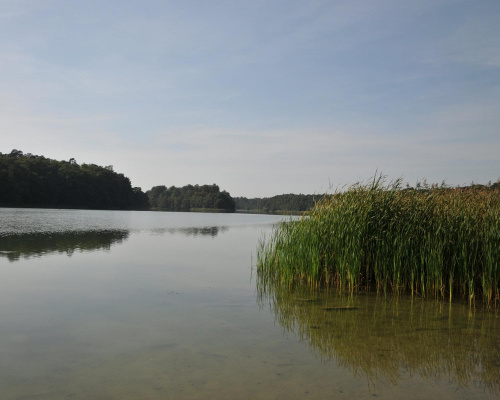 Jezioro Góreckie podczas niedzielnego wrześniowego spaceru